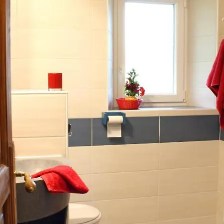 Grande Maison Familiale Avec Jardin, Wifi, Animaux Acceptes - Fr-1-489-50 *