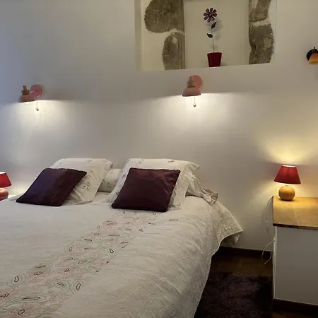 Grande Maison Familiale Avec Jardin, Wifi, Animaux Acceptes - Fr-1-489-50 *