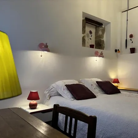 Grande Maison Familiale Avec Jardin, Wifi, Animaux Acceptes - Fr-1-489-50